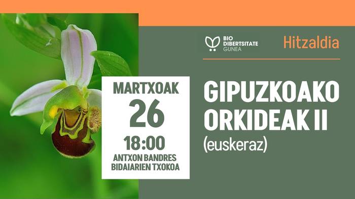 Gipuzkoako orkideak II