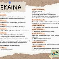 Udako goizak lagunartean aisialdi zerbitzua