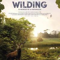 Iturralde laburmetraia eta Wilding dokumentala