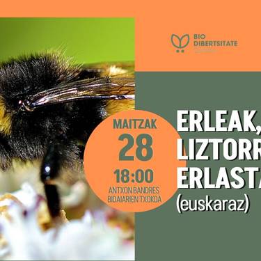 Erleak, liztorrak  eta erlastarrak I