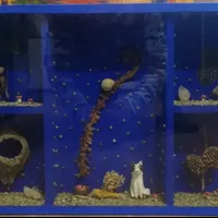 Tailerra: Kutxak, gorputzak eta altxorrak