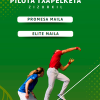 VI. Intxaur Pilota Txapelketa