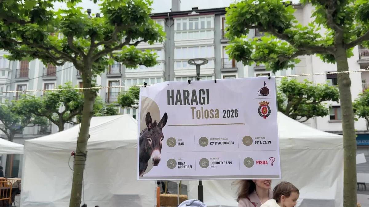 Lehiaketa berria Bertako Haragien Azokan: “Zenbat pisatzen dute astoak eta pottokak?”
