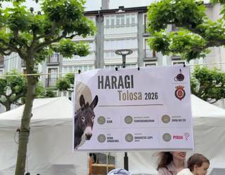 Lehiaketa berria Bertako Haragien Azokan: “Zenbat pisatzen dute astoak eta pottokak?”