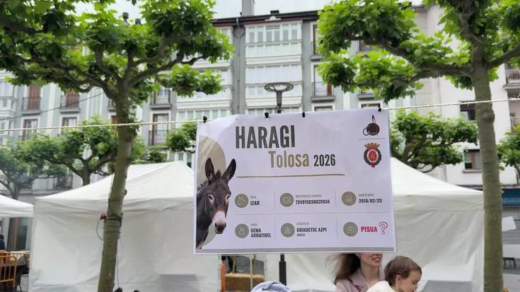 Lehiaketa berria Bertako Haragien Azokan: “Zenbat pisatzen dute astoak eta pottokak?”