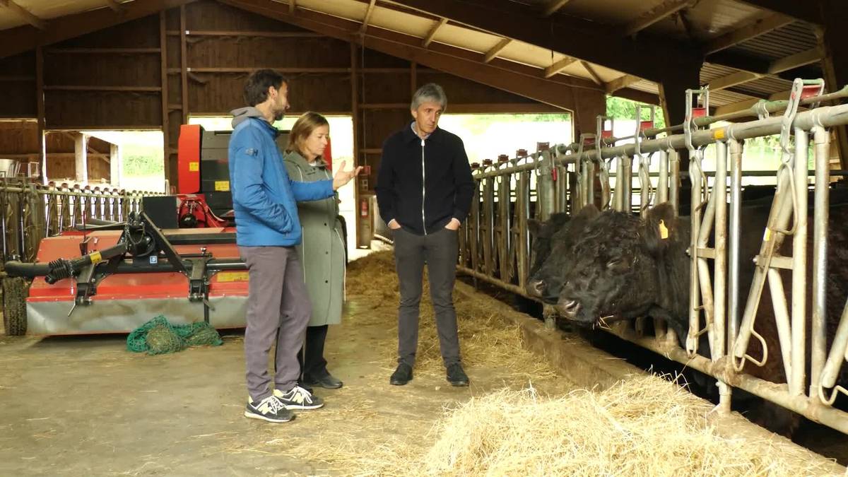 Lehen sektoreak ingurunean duen inpaktua aitortzeko diru laguntza aurkeztu du Gipuzkoako Foru Aldundiak