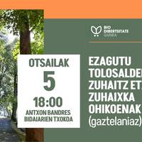 Ezagutu Tolosaldeko zuhaitz eta zuhaixka ohikoenak II (gaztelaniaz)