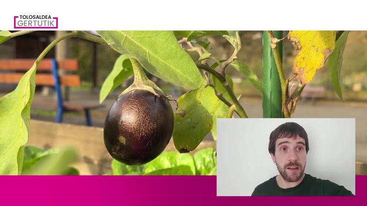 Giro nahasiagoa astebururako