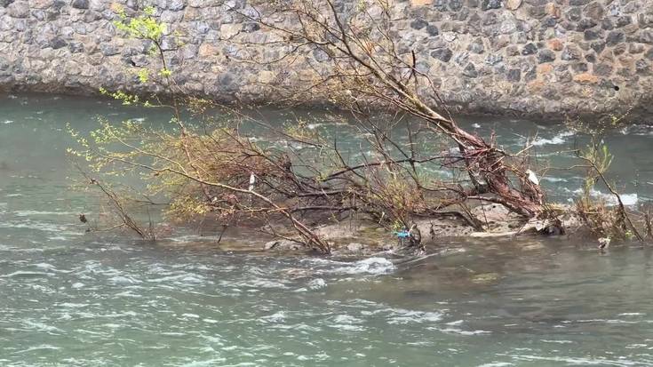 Oria ibaiaren garbiketa-lanak egiten ibili dira 150 ikasle