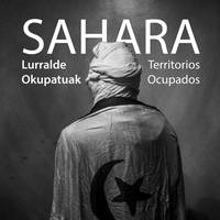 Sahara, Lurralde okupatuak eralusketa
