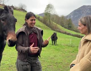 Haritik Tiraka - Zaldizketa