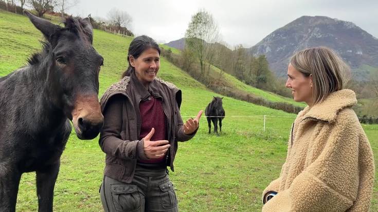 Haritik Tiraka - Zaldizketa