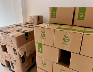 Iritsi dira Errigorako saskiak Tolosaldera, ikusi banaketa puntuak herriz herri