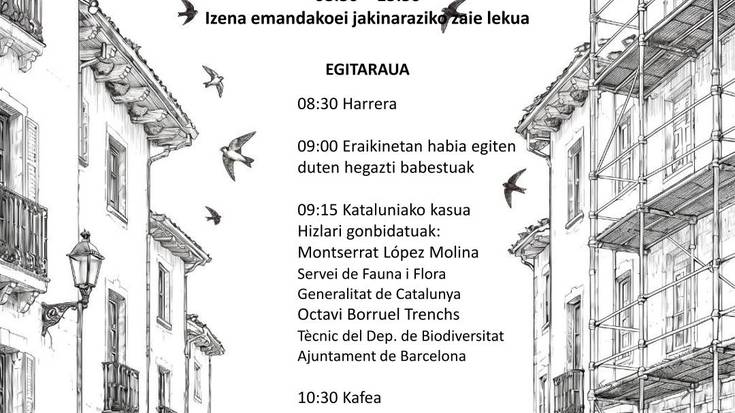 Hegazki babestuak eraikinetan