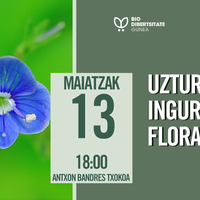 Uzturre eta inguruetako flora