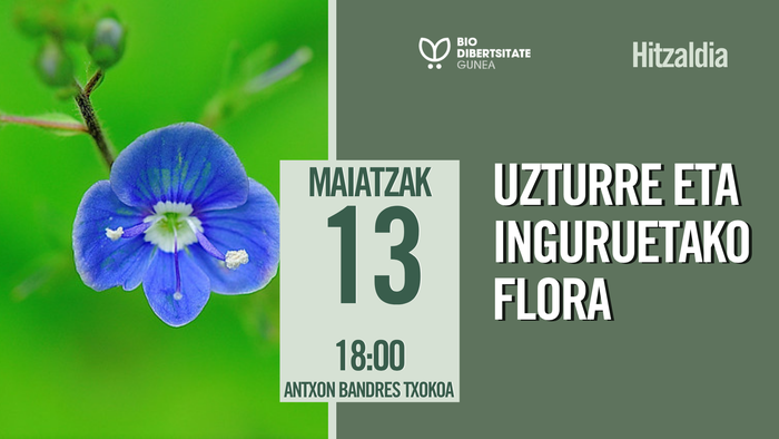 Uzturre eta inguruetako flora