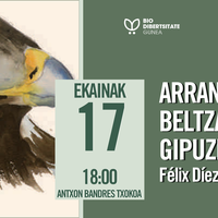 Arrano beltza Gipuzkoan