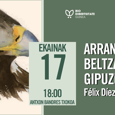 Arrano beltza Gipuzkoan