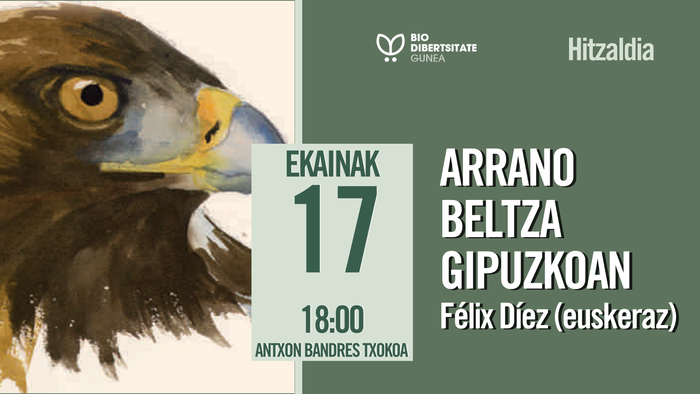 Arrano beltza Gipuzkoan
