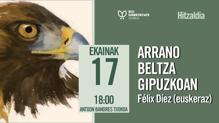 Arrano beltza Gipuzkoan