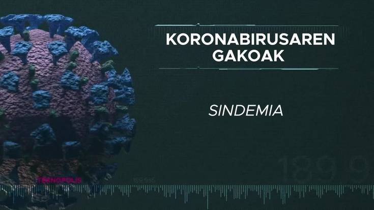 Koronabirusaren gakoak: Sindemia