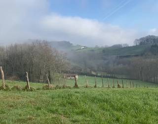 2. poligonoko lursailak mugatzeko prozesua abiatuko du Zizurkilgo Udalak