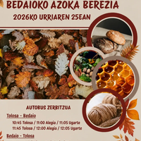 Bedaioko azoka berezira joateko autobus zerbitzua
