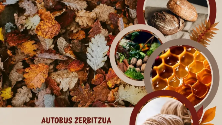 Bedaioko azoka berezira joateko autobus zerbitzua