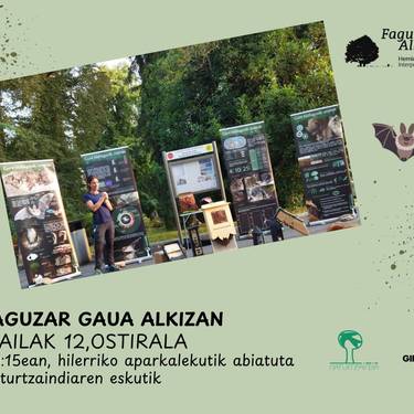 Saguzar gaua