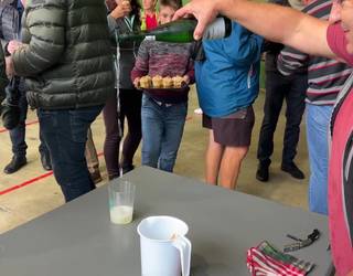 Txakolin eta pintxo dastaketa Ugarten