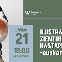 Ilustrazio zientifikoaren hastapenak II