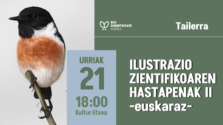 Ilustrazio zientifikoaren hastapenak II