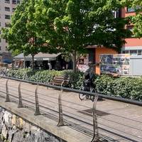 Harreman osasungarriak