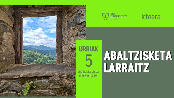 Biodibertsitategunea: Abaltzisketa -Larraitz irteera