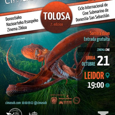 CIMASUB: Itsaspeko Zinemaren Nazioarteko Zikloaren proiekzioak