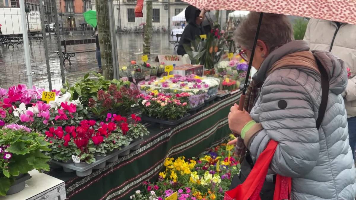 Zuhaitz eta landareen azoka egin dute