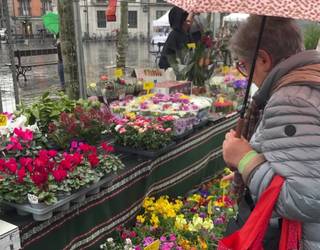 Zuhaitz eta landareen azoka egin dute