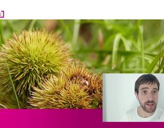 Larunbatean eguzkia nagusi eta igandean eguraldia aldatu egingo da