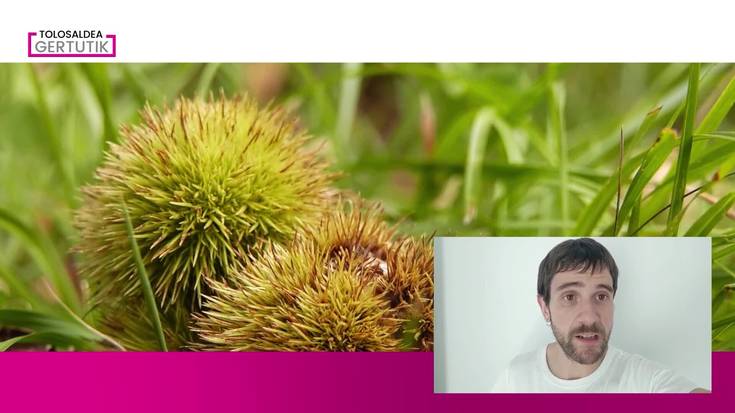 Larunbatean eguzkia nagusi eta igandean eguraldia aldatu egingo da