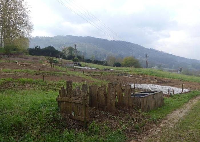 Baratza ekologikoen parkean partzelak eskatzeko aukera berria zabalik