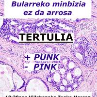 Bularreko minbizia ez da arrosa