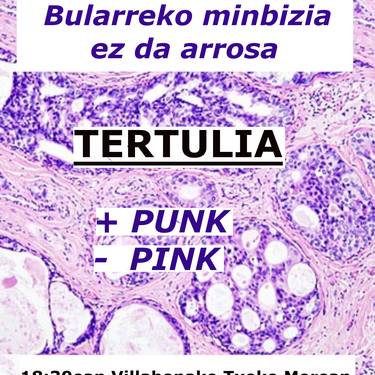 Bularreko minbizia ez da arrosa