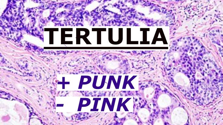 Bularreko minbizia ez da arrosa