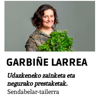 Sendabelar tailerra