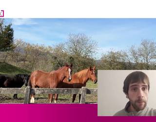 Eguraldi egonkorra eta lasaia asteburuan