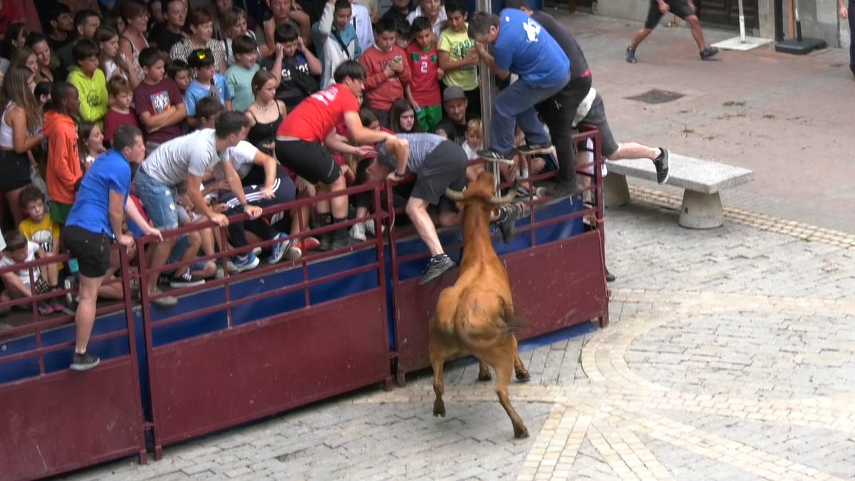 Sokamuturra batzuen dibertsiorako