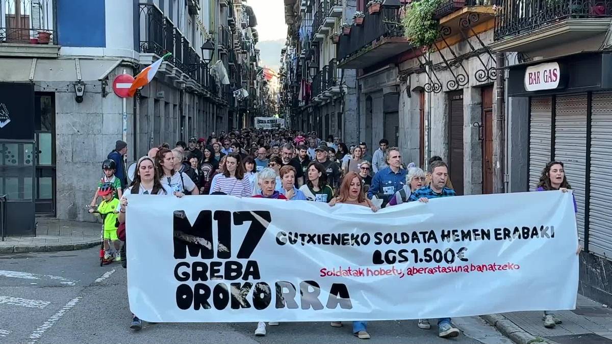 Tolosaldeko Greba Batzordeak deituta, eskualdeko manifestazio nagusia egin da Tolosan