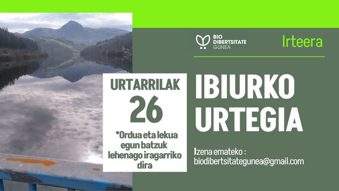 Ibiurko urtegia