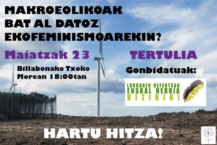 Makroeolikoak bat al datoz ekofeminismoarekin?