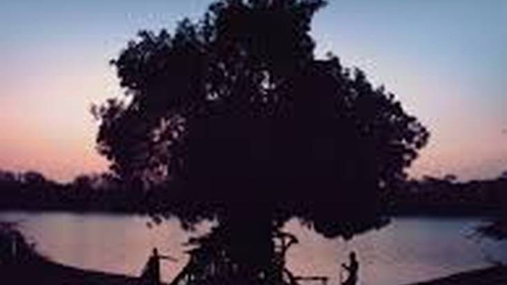 Afrikako 5. astea